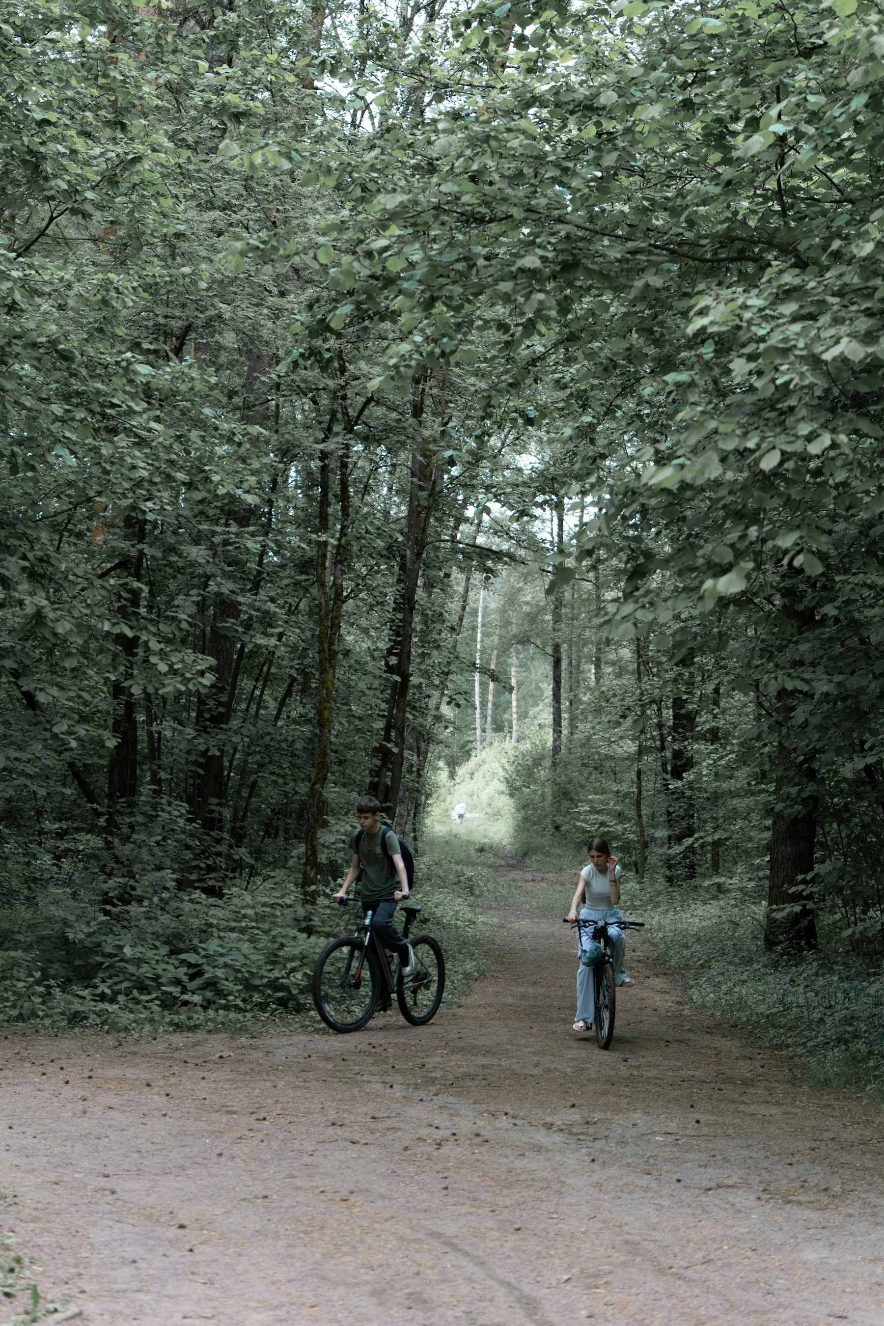 Radfahrer auf einem Waldweg