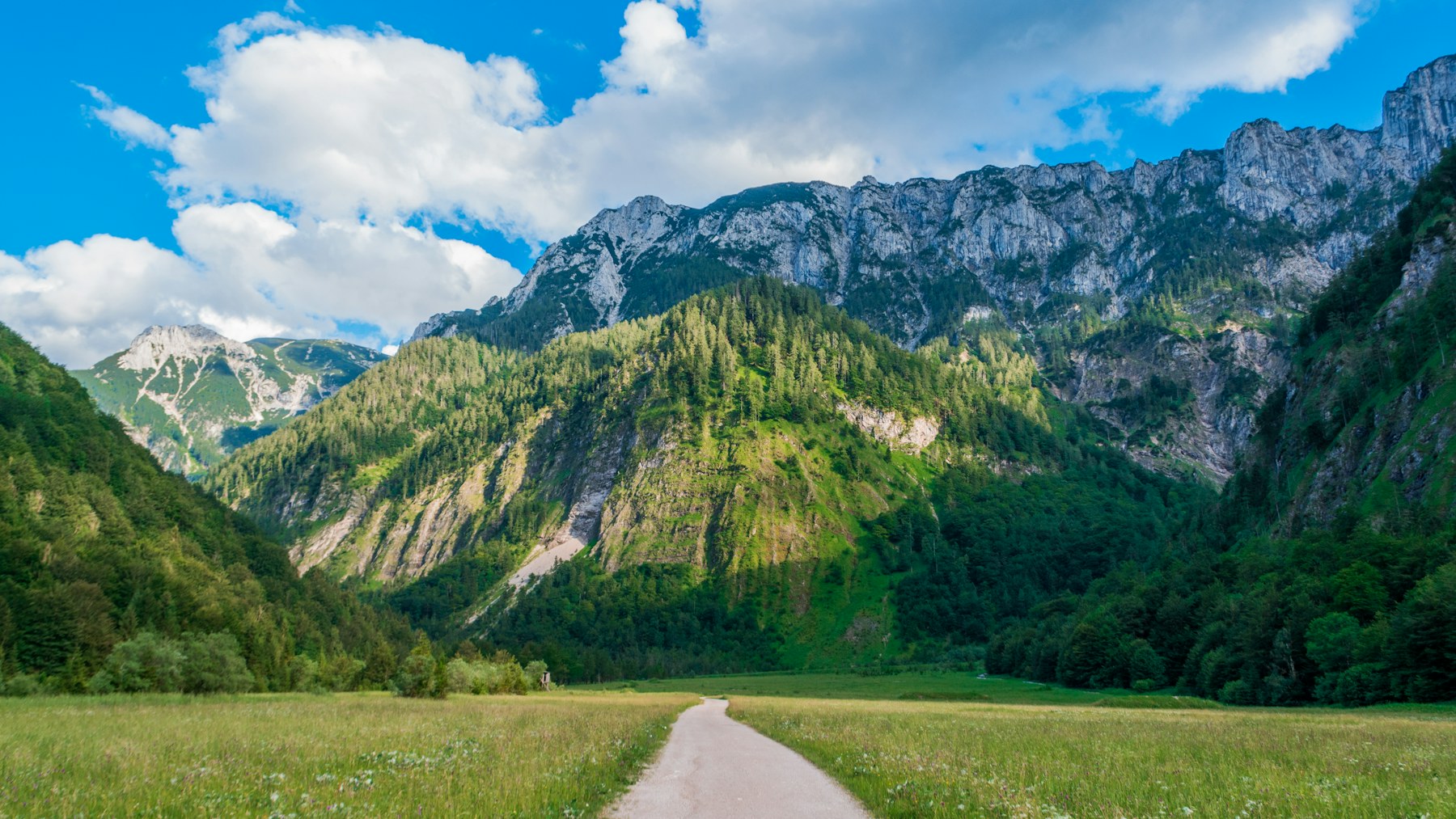 Österreichische Berglandschaft
